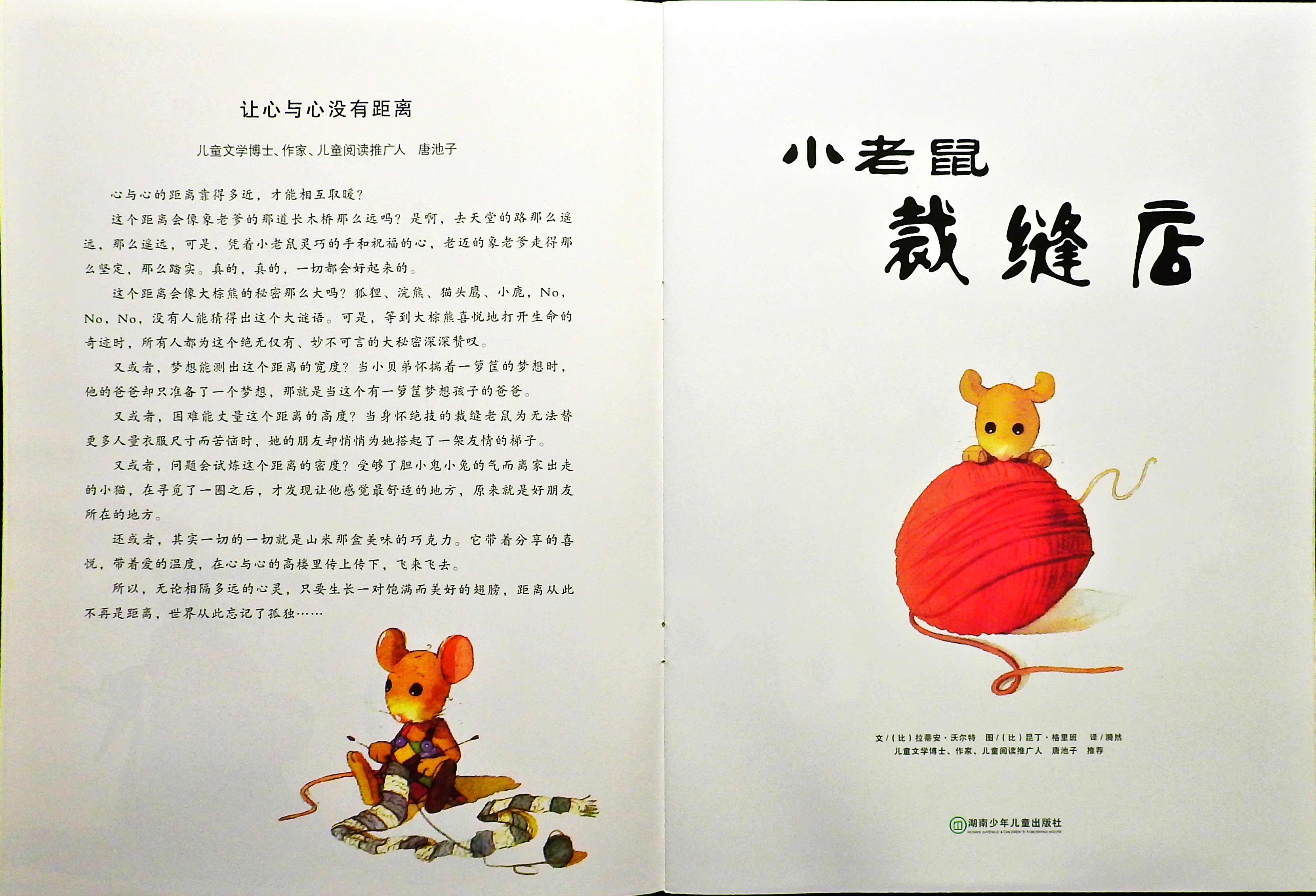 小老鼠裁缝店 (02),绘本,绘本故事,绘本阅读,故事书,童书,图画书,课外阅读